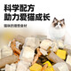 He Jiangong freeze-dried cat food 10 Jin Jin is equal to 0.5 kg, full price for cats 5 kg kitten economical nutrition stray cat large bag high protein full stage freeze-dried four-piece cat food 5 Jin Jin is equal to 0.5 kg 0lb
