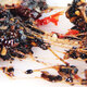 Zhen Xuantang 5 boîtes CCTV Recommandation Hide Gélatine Gélatine Dong'e dates rouges d'origine, Wolfberry, Gélatin Gélatin à l'âne de nauc