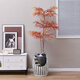 Phty Wohnzimmer bodengesteuertes Ornamente Modernes Licht Luxus High-End Nordic Flowing Water Fountain Ornamente Zirkulationswasserdekoration 9928a Wasser Bonsai + Simulierte grüne Pflanze a