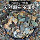 Natural original ecological stream stone bottom sand fish tank special filter paving ornaments volcanic stone landscaping main stone pebbles 10Jin Jin is equal to 0.5kg packed with natural stream stone (6-12mm)