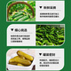 希可欧俄式酸黄瓜酱菜680g越南进口俄式风味西餐轻食三明治汉堡配菜