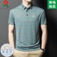 梦特娇（MONTAGUT）条纹短袖t恤男桑蚕丝夏季中年休闲男装翻领polo衫 A829-兰色 M 165适合100-115斤