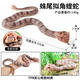 Simulación de juguete de broma infantil Modelo de animales TPR GLO Soft Mamba Snake Snake Snake Snake Viper Viper Flower Snake BY5012 Fragant Snake (material sólido TPR)