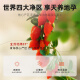 
Qilixianghong wolfberry first organic certified special grade large fruit wolfberry 500g sulfur-free new product Qinghai free wash Gouqi