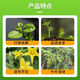 Zheng's Chemical 98% Sodium Nitrophenolate Original Powder Plant Growth Regulator Preserving Flower Fruit Pesticide Synergism to Promote Growth 1kg