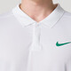 耐克（NIKE）polo衫男装2025春季新款运动休闲商务翻领短袖T恤FD5318官方正品 FD5318-102/速干透气 2XL /180-190斤/185