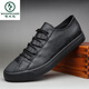 Woodpecker Herrenschuhe Frühling und Herbst Herren lässige Lederschuhe Low Top Schuhe Schnürpüre-up koreanischer Stil Vielseitige britische Schuhe Herren trendige Schuhe SS9851 Kaffee 43