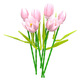Le High Plant Log Serie Tulip Bausteine ​​Blumenbaugruppe Spielzeug simulierte Blumenschmuck Mädchen Geschenk JK2679 Sunny Holiday [exquisite Farbbox]