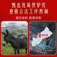 Jiuzhitang Donkey Hide Gelatin Cake Regalo Regalo 460g*2 (26% de gelatina de escondites) Tonic para ancianos Qi y Blood Dong'a Guyuan Cream Qixi Festival Gift