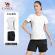 骆驼（CAMEL）羽毛球服套装速干运动T恤短裤针织短袖两件套Y1S1TF653A5 L