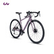 Liv丽以芙Avail AR 4-GC碳纤维前叉碟刹16速舒适女士弯把公路自行车 紫灰色 700C×410MM XS 建议152-163cm