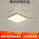 全铜户外吸顶灯别墅入户门灯走廊过道阳台灯露台防蚊虫庭 X3893-600*800/长方形