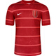 耐克（Nike）天朗足球耐克25赛季中超成都蓉城主场球衣短袖足球服HM6166-687 红色#HM6166-687 光板球衣 L