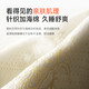 稳纳折叠床单人办公室午休床家用简易月嫂加厚海绵床酒店午睡陪护神器 4cm床垫丨190*60*35海绵床 双折