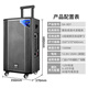 Xianke square dance audio outdoor high-power mobile trolley speaker wireless Bluetooth high volume karaoke special portable with dual microphone microphone 807 professional stage 12 inches + professional three-way design