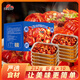 Honghu Temptation Anjing Spicy Crayfish Tail 10 boxes 252g Solid 120g About 45 pieces Heat and eat