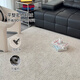 Cartifiya glue-free waterproof, formaldehyde-free, antibacterial, simple, modern, light luxury, non-slip living room carpet, Danish Snow 1.6*2.3 meters