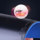 729 3 sets of rubber table tennis rubber country sets of rubber three countries 3 blue sponge raw rubber reverse glue 3 39-degree black blue sponge arc ring without glue