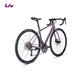 Liv丽以芙Avail AR 4-GC碳纤维前叉碟刹16速舒适女士弯把公路自行车 紫灰色 700C×410MM XS 建议152-163cm
