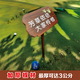 Customized outdoor small grass brand solid wood lawn brand flower and grass prompt card green warning sign civilized placard lawn card ready-made flower and grass card-1 24x40cm