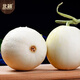 Beishu melon seed seedlings rock sugar heart-shaped white-skinned melon melon fruit seeds white sand honey melon seeds 150 capsules