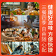 
Wen's room temperature ready-to-eat Guangdong authentic salt-baked old hen 700g farmhouse chicken braised braised chicken salt-baked chicken