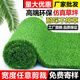 IGIFTFIRE simulated lawn carpet artificial fake grass plastic green balcony outdoor kindergarten bedding decoration artificial turf 2 cm encrypted version 2 meters wide * 10 meters long 20 square meters