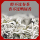 Shanlihuo Tee Spezialduft Chaozhou Phoenix Single Pine Oolong Tea Snow Chip Entengeschmack Single Wattebeutel 500g wird nicht für Verpackungen verkauft