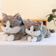 Yunya Cat Doll Plush Plush Toy Orange Cat Doll Children Dreing and abrazando el cumpleaños Día de San Valentín Chino Regalo Xiaohui 45cm