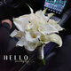 oein婚礼手捧花新娘结婚当天婚纱领证仿真郁金香求婚毕业花束拍照道具 白色郁金香手捧花 10支