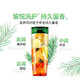 L'Oreal Tea Tree Plant Extract Anti-dandruff Cleaning Shampoo 500ml Refreshing Oil Control and Oil Removal Men's Women's Shampoo