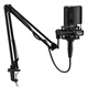 Flash PM500S condenser microphone live broadcast sound card professional large diaphragm microphone radio equipment dubbing karaoke XLR wired microphone Bobo Mai recording microphone Flash PM500S PM500S (cantilever model)