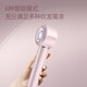 FLYCO high-speed hair dryer as a gift for your girlfriend, household low-noise, quick-drying negative ion hair dryer, Galaxy Star Ring FH6371 Diamond Powder