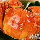 Live crabs Lake fresh Yangcheng hairy crabs whole female 2.5-2.8 pairs 8 pieces with rope feet removed fresh goods fresh seafood extra large crab gift box straight from the source