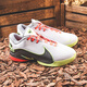 耐克（NIKE）Lebron22LBJ22詹姆斯勒布朗22篮球鞋FZ1095-101 FZ1098-100 40.5