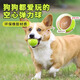 Beiyipin dog toy ball to relieve boredom, pet training, border herding, golden retriever, corgi, bite-resistant, puppy walking, molar rubber tennis ball