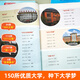
From a small plan to plan the university volume 1 and 2 genuine 985/211 Introduction to Chinese universities' books, high school planning, Zhang Xuefeng's enlightenment college entrance examination application application guide, easily become a top student, from university selection, approach the university town, happy 2025 composition material dictionary (up to 828 pages)