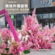 JPHZNB customized simulated reed landscaping internet celebrity outdoor check-in mall March 8 Women's Festival Beauty Flower Art Scene Decoration Pink Reed Combination 6 Deposit details please 6187