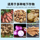 Underground rhizome expansion hormone, sweet potato, Chinese medicinal materials, yams, potatoes, peanuts, garlic, special tubers to increase production, fertilization, root and tuber expansion hormone, 12 bags*12kg