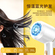 Yier Hair Dryer Home Male and Female Student Dormitory Hair Dryer Blue Light Negative Ion Constant Temperature Hair Care Large and Small Power Portable 800W Fashion White 800W (Special for Family and School Dormitories)