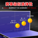 PNT table tennis table indoor foldable mobile table tennis table for home training and competition standard table tennis case foldable without rollers 16mm table top * 30 table legs