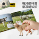 babycare/bctoys children's toys solid simulation farm animal barrel animal model cow sheep golden retriever dog