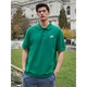Nike (Nike) Весенняя новая рубашка поло nike green green с коротким рукавом мужчина подлинная лацкальная топ-футболка для хлопчатобумажной футболки с половиной рукава серые Fn3895-063 Pure Cotton Hetchaitry L Рекомендуется 130-150JIN [JIN равно 0,5 кг]