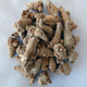 Peking Tongrentang Rohstoffe Sanqi Yunnan Wenshan Chun Sanqitou ganz
