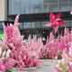 JPHZNB customized simulated reed landscaping internet celebrity outdoor check-in mall March 8 Women's Festival Beauty Flower Art Scene Decoration Pink Reed Combination 6 Deposit details please 6187