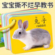 亨给力动物卡片早教认知启蒙书儿童识字宝宝看图识物图幼儿数字益智玩具 4本:动物+人物+交通+数学[360面]