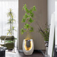 Phty Wohnzimmer bodengesteuertes Ornamente Modernes Licht Luxus High-End Nordic Flowing Water Fountain Ornamente Zirkulationswasserdekoration 9928a Wasser Bonsai + Simulierte grüne Pflanze a