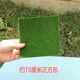 Ancient style fake lawn model desktop building green micro landscape simulation moss ecological bottle decorative bonsai grassland about 30 cm square ((measure the size you need)