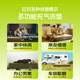 安丹迪（Adandyish） 充气床垫折叠床蓄电泵200*180*25绿 户外家用午休打地铺单双人床