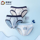 Inbolen boys pure cotton Lycra briefs children's shorts 10343 Underwater World 3 pairs 150